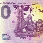 0 euro souvenir Indonesia – Orangutan 2019-4 wildlife series Pongo banknote