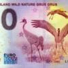 Suomi-Finland Wild Nature GRUS GRUS 2024-8 0 euro souvenir banknotes