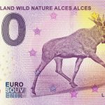 Suomi - Finland Wild Nature Alces Alces 2019-2