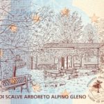 zerosouvenir Vilminore di Scalve Arboreto Alpino Gleno V050 2022-10